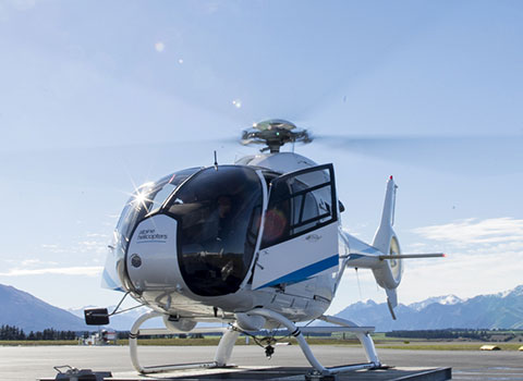 Airport User Information