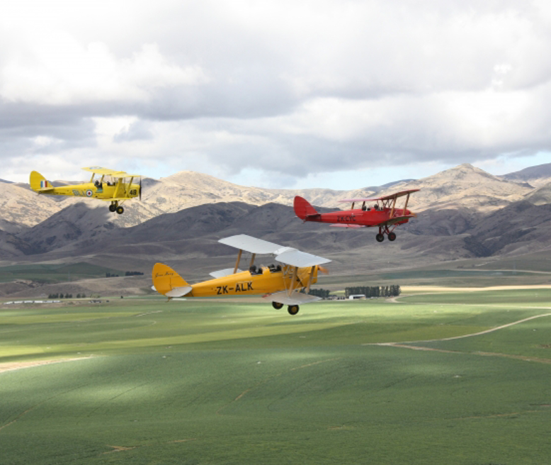 tigermoths