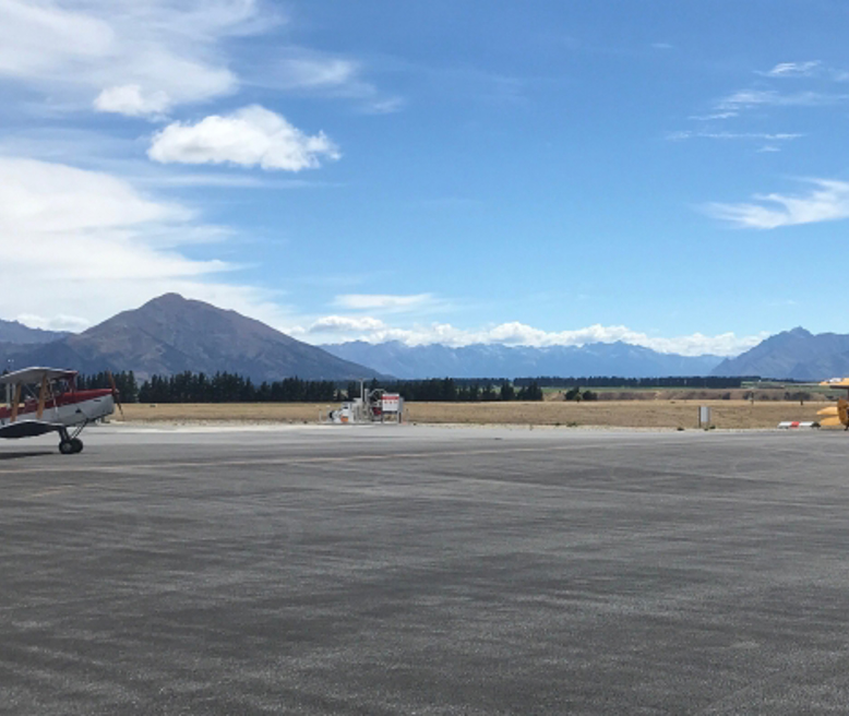 wanaka-apron-tigermoths-daniel2